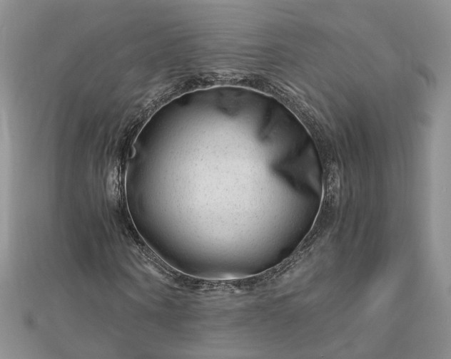 X0000112900866200909041720