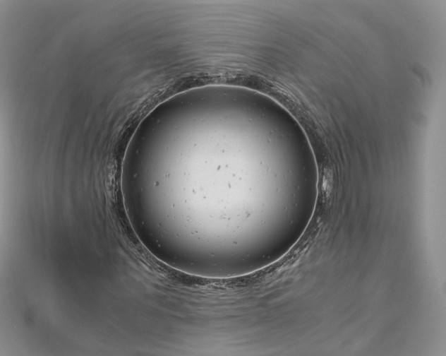 X0000112900867200909041720