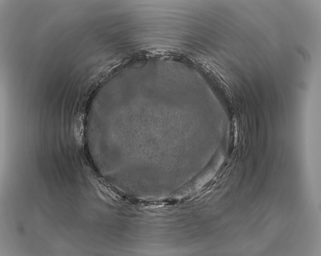 X0000112900868200909041720