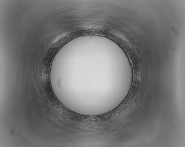 X0000112900869200909041720