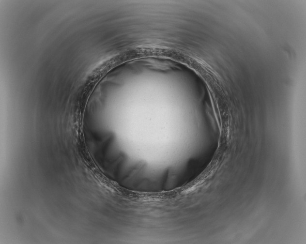 X0000112900870200909041720