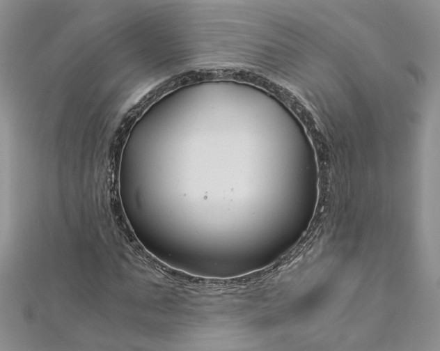 X0000112900871200909041720