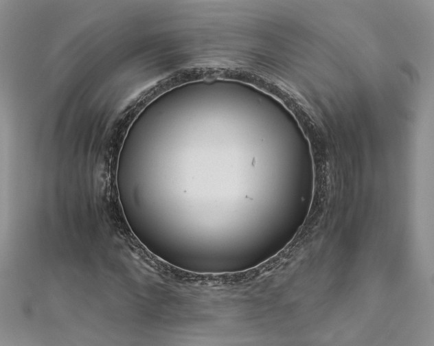 X0000112900872200909041720