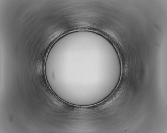 X0000112900873200909041720