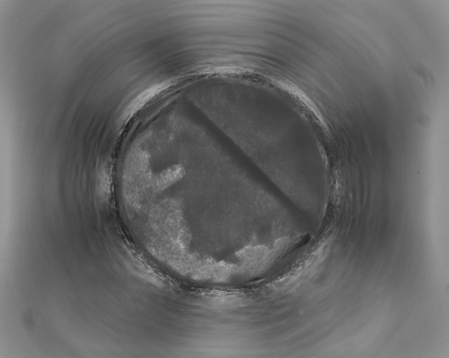 X0000112900874200909041720