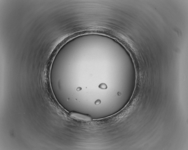 X0000112900875200909041720