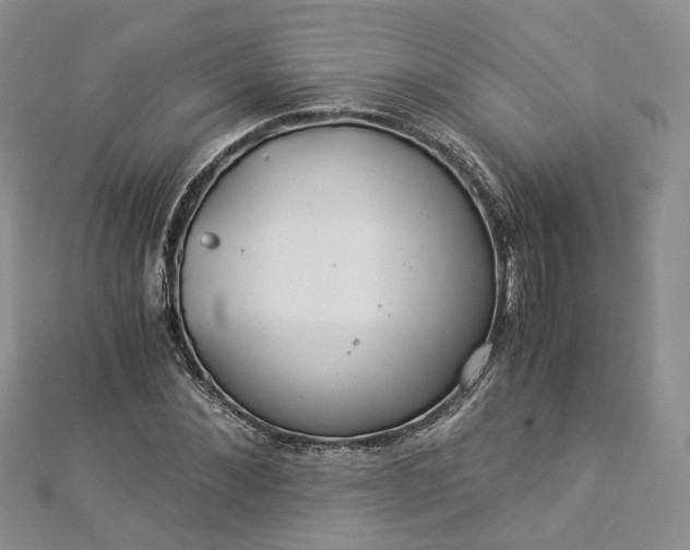 X0000112900876200909041720