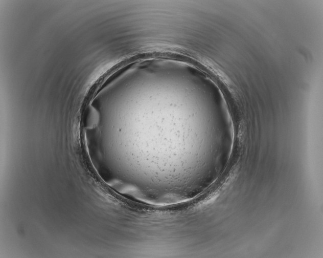 X0000112900877200909041720