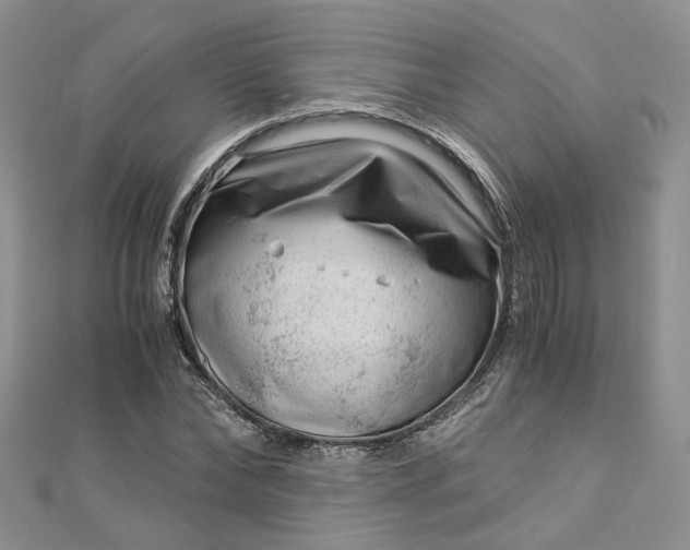 X0000112900878200909041720