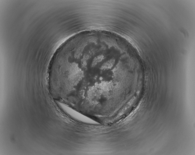 X0000112900879200909041720