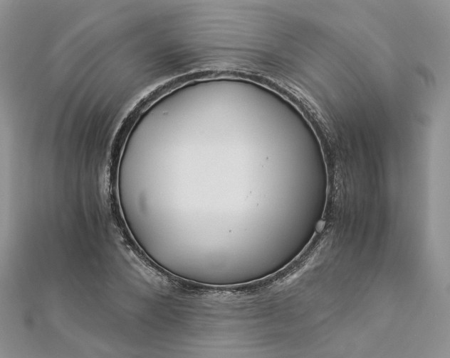 X0000112900880200909041720