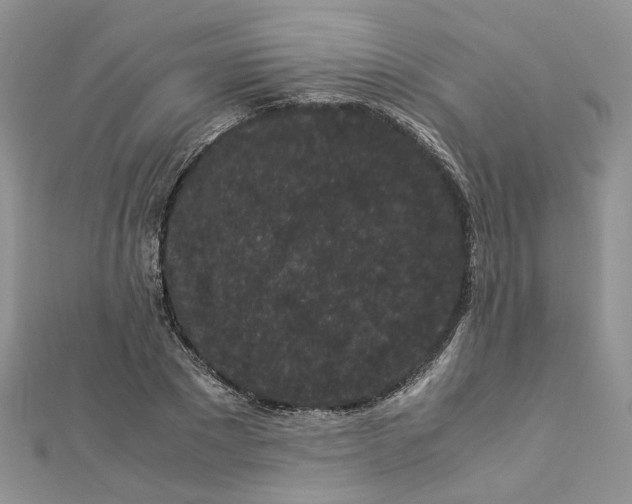 X0000112900881200909041720