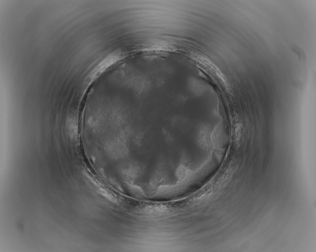 X0000112900882200909041720