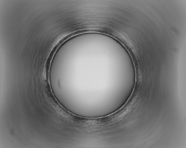 X0000112900883200909041720