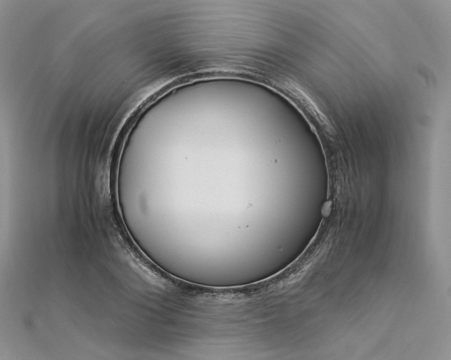 X0000112900884200909041720