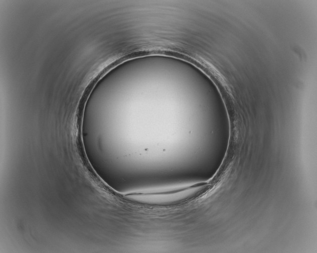 X0000112900885200909041720