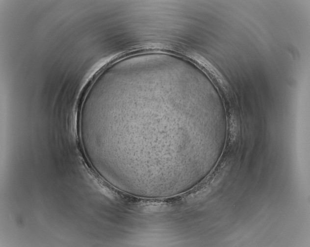 X0000112900886200909041720