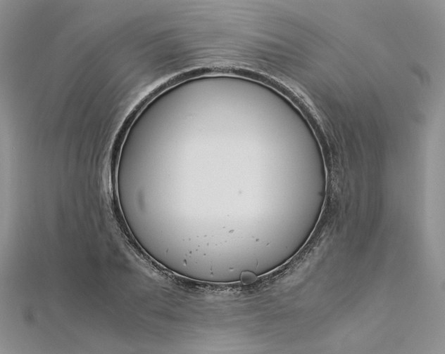 X0000112900887200909041720