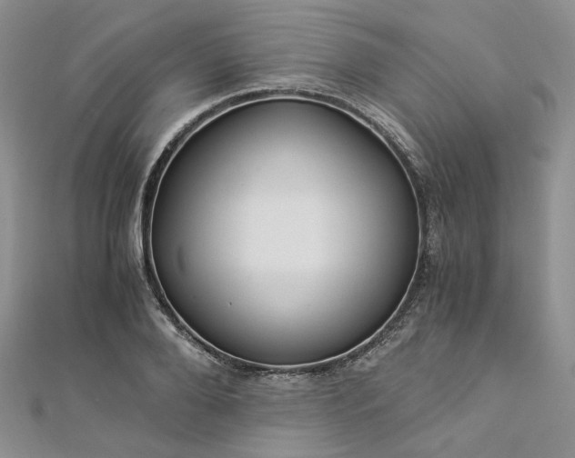 X0000112900888200909041720