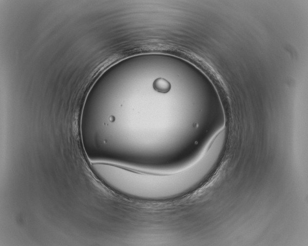 X0000112900889200909041720