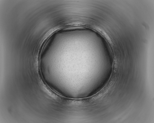 X0000112900890200909041720