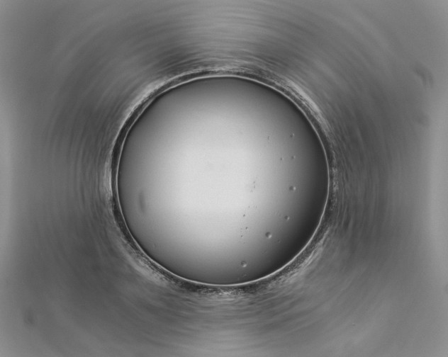 X0000112900891200909041720