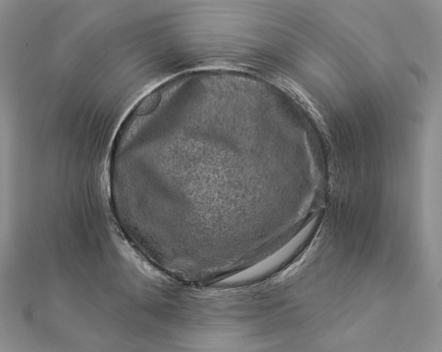 X0000112900892200909041720