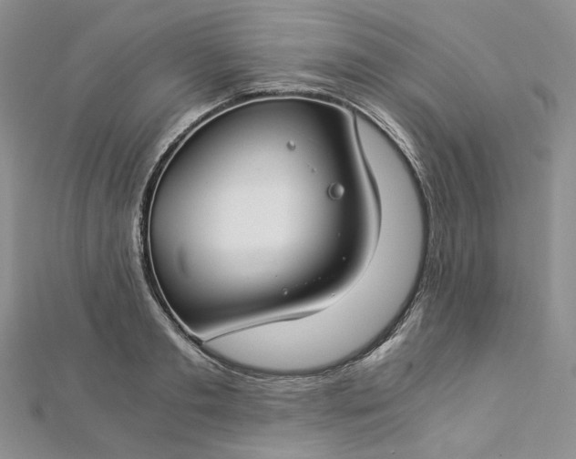 X0000112900893200909041720