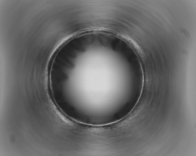 X0000112900894200909041720