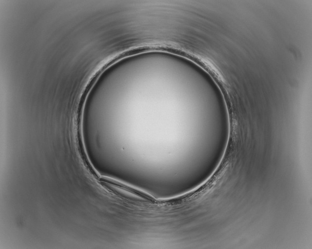 X0000112900895200909041720