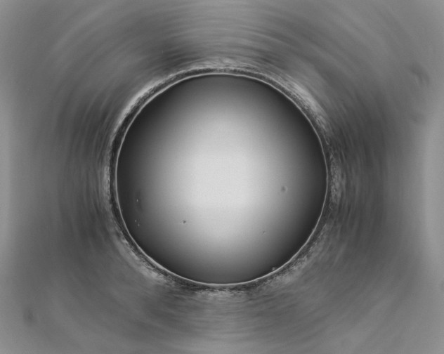 X0000112900896200909041720