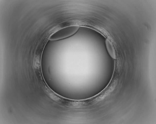 X0000112900897200909041720