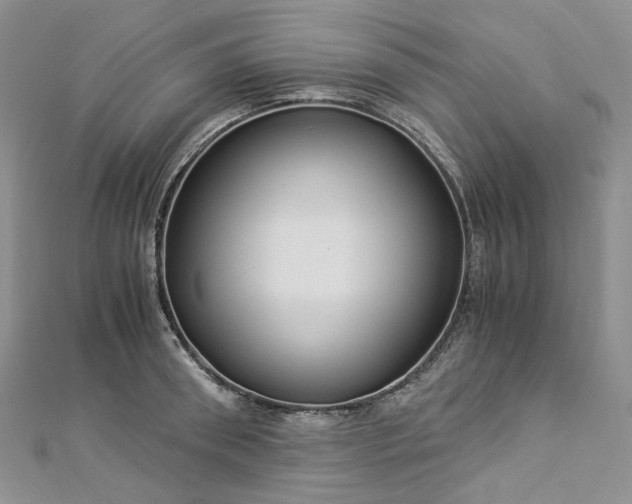 X0000112900898200909041720