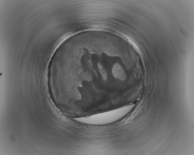 X0000112900899200909041720