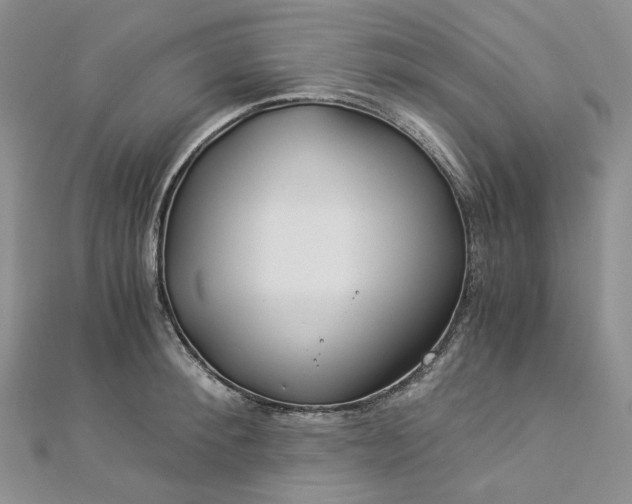 X0000112900900200909041720