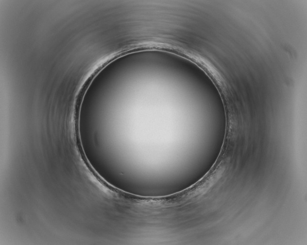 X0000112900902200909041720