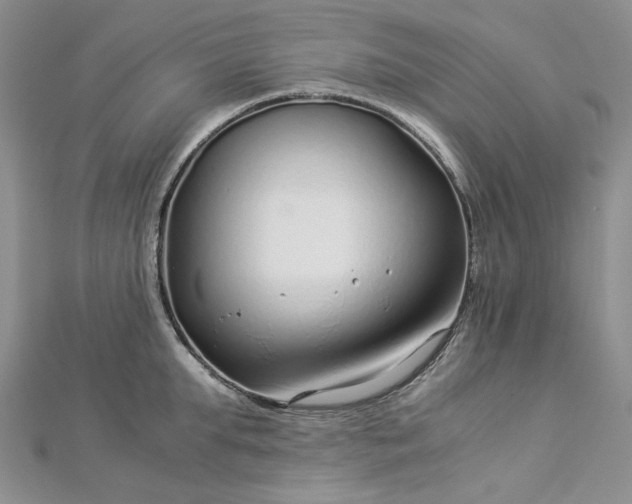 X0000112900903200909041720