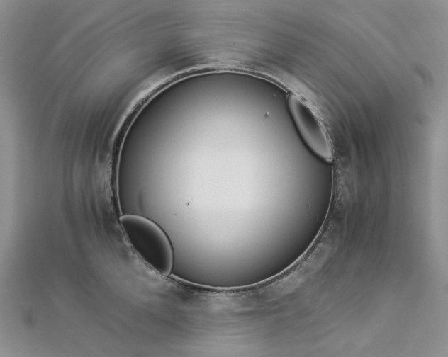 X0000112900904200909041720