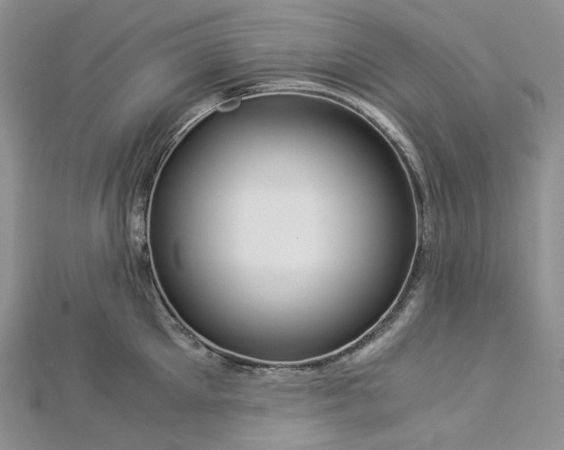 X0000112900905200909041720