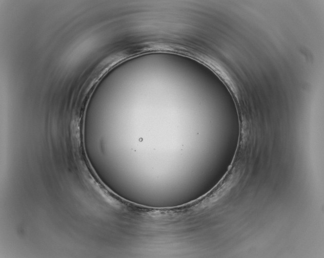 X0000112900906200909041720