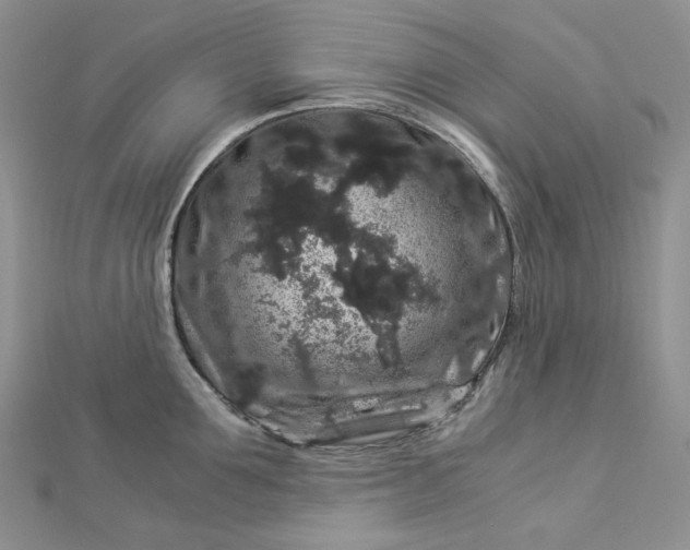 X0000112900907200909041720