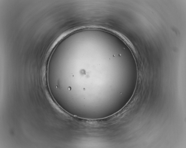 X0000112900911200909041720