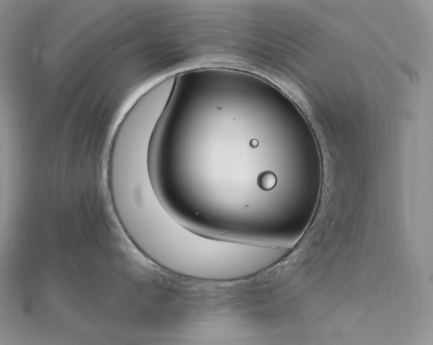 X0000112900912200909041720