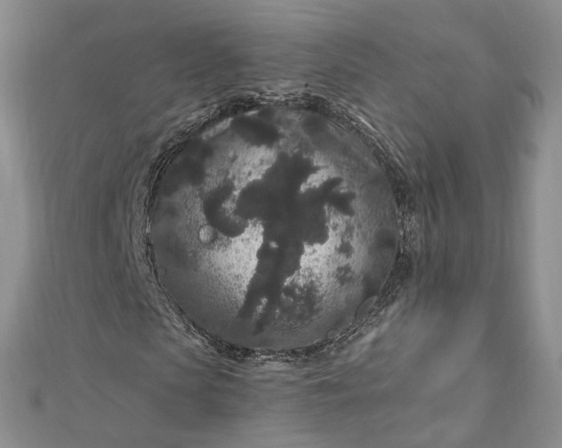 X0000112900913200909041719