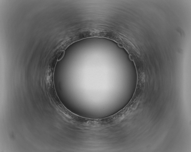 X0000112900914200909041719