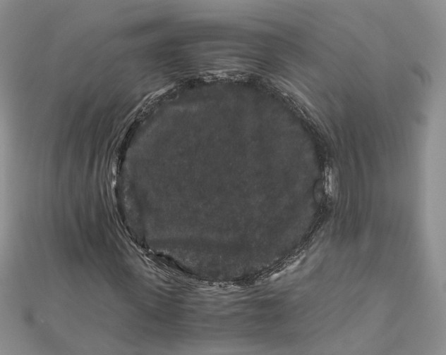 X0000112900915200909041719