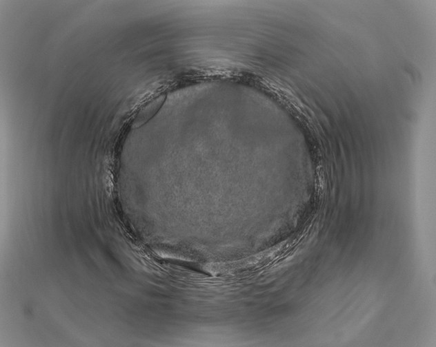 X0000112900916200909041719