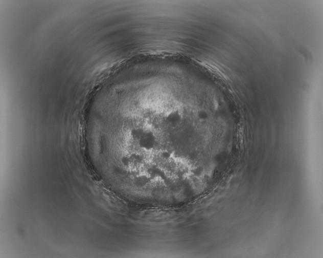 X0000112900917200909041719