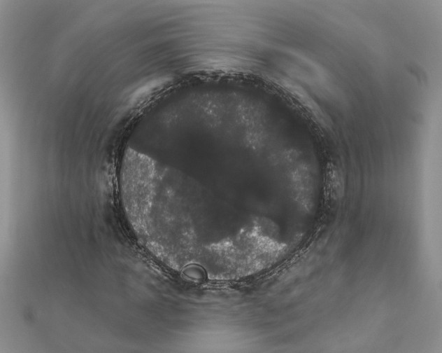 X0000112900918200909041719