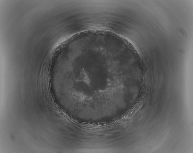 X0000112900919200909041719